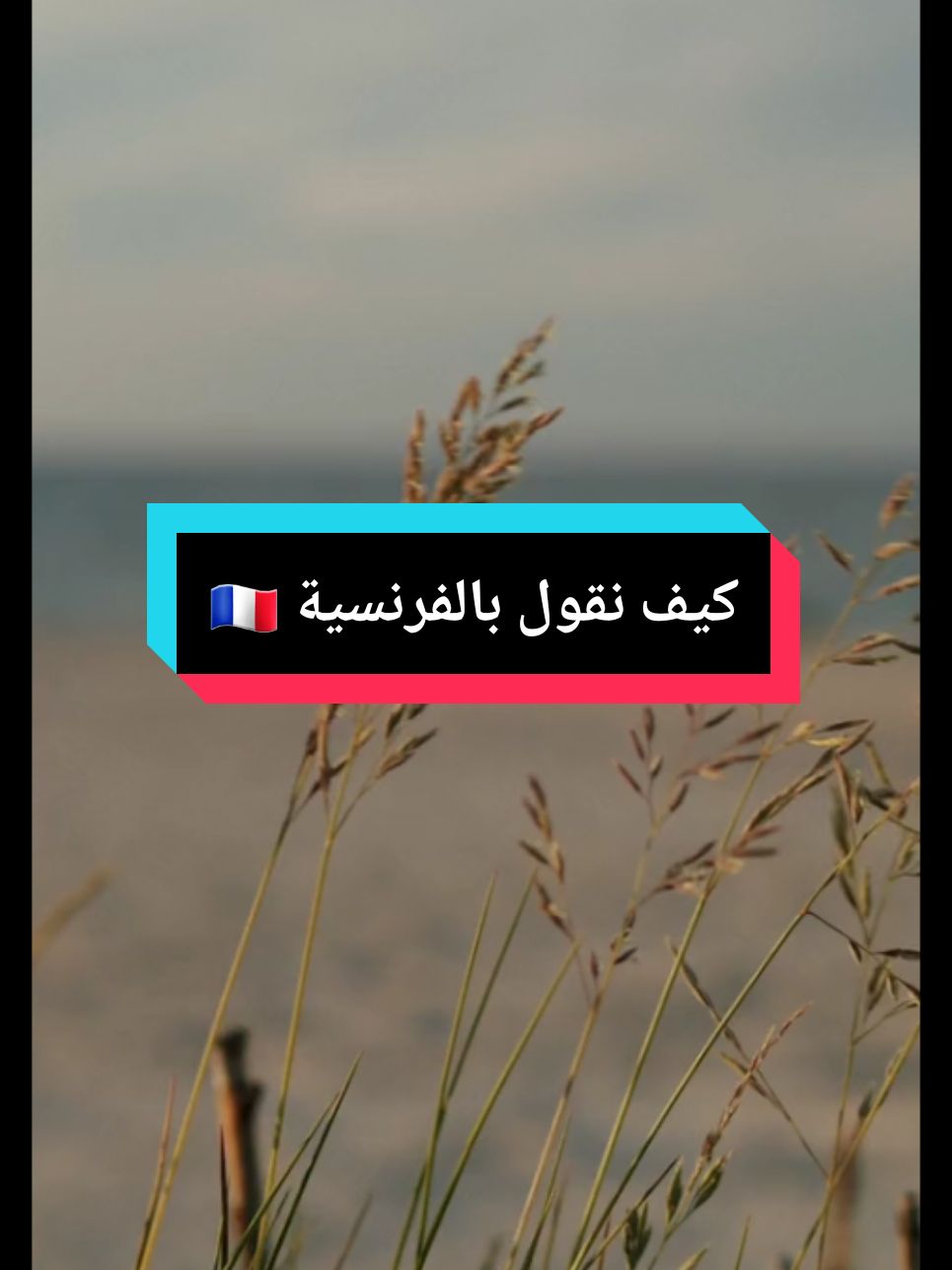 تعلم اللغة الفرنسية للمبتدئين 🇫🇷 aprender le français 🇲🇫  #francais #paris #marseille #livefest2024 #france 