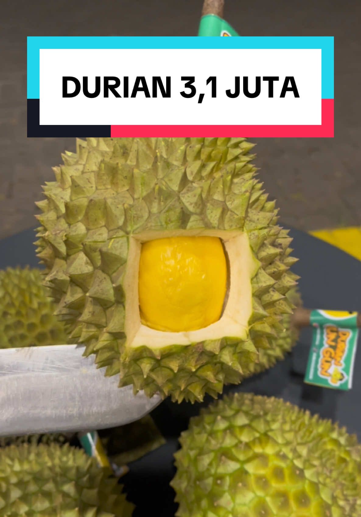 DURIAN 3,1 JUTA … 🤤🤤🤤 #fypシ #fyp 