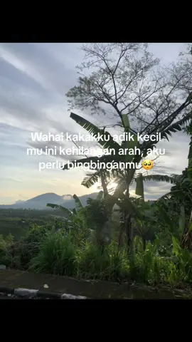#katakatamotivasi #galaubrutal #foryou 