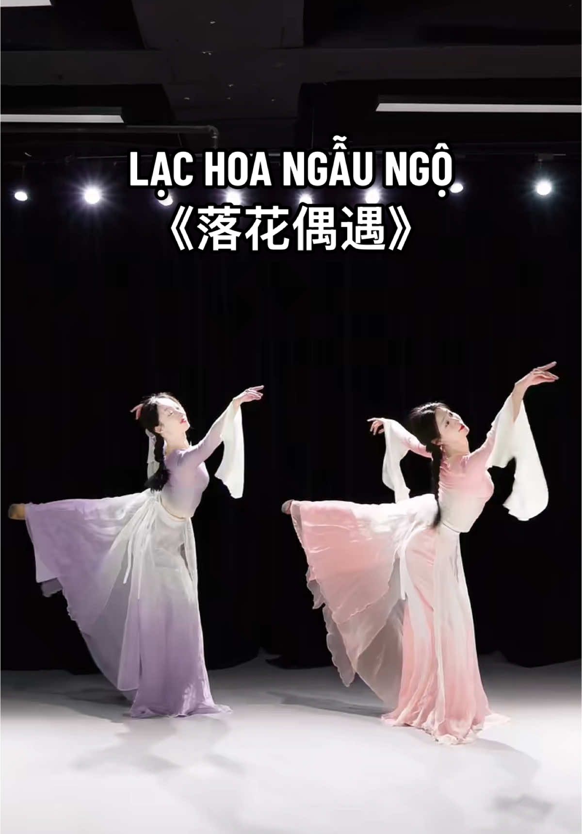 Lạc Hoa Ngẫu Ngộ-《落花偶遇》 #mecotrang #muacotrang #muatrunghoa 