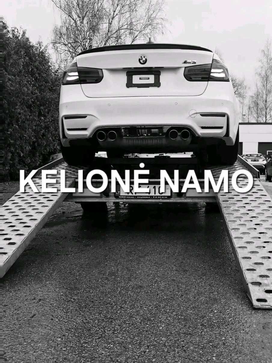 Gulbės kelionė namo!!! #bratukas #automobiliai #remontas #tralas #m3 