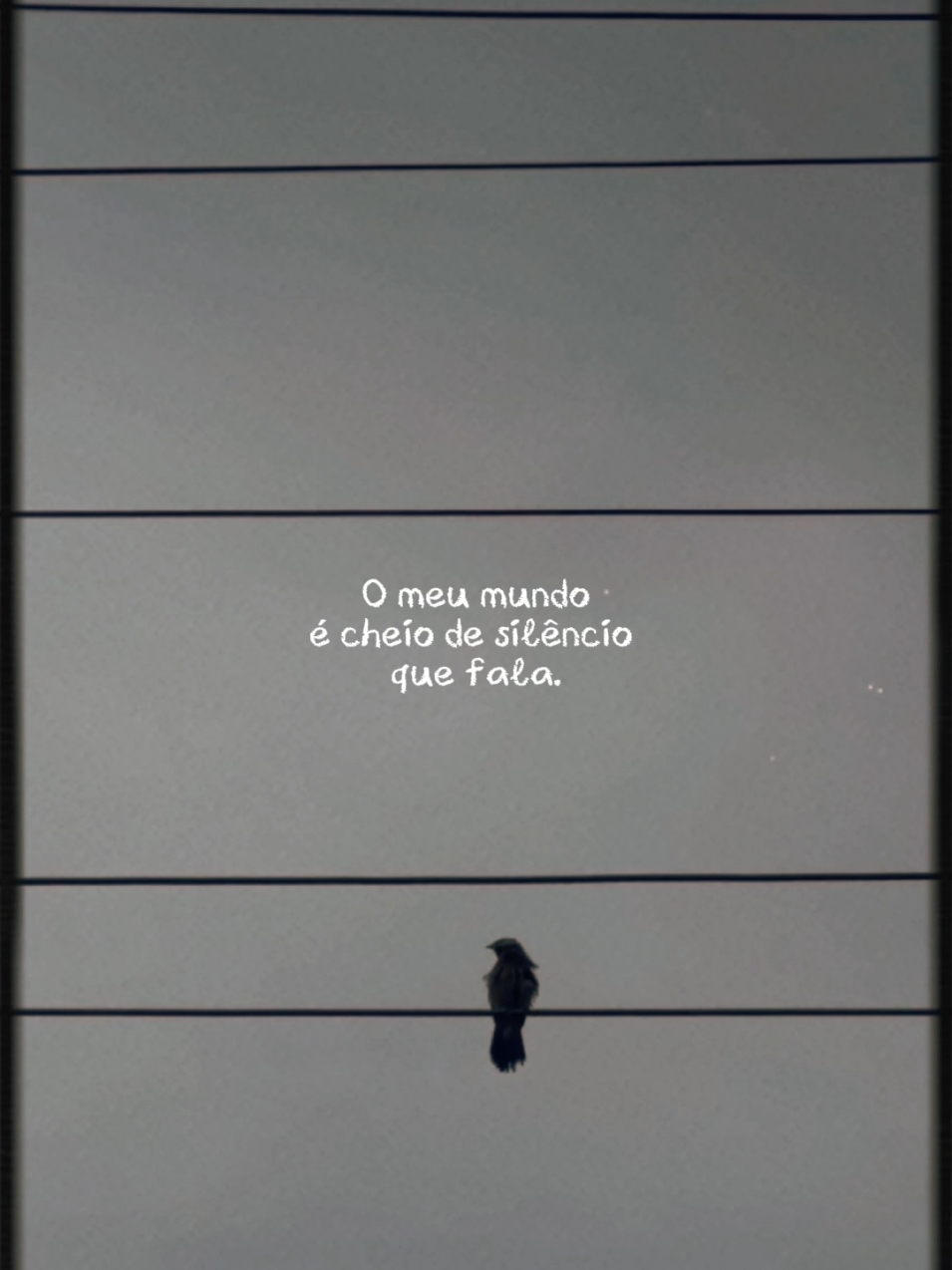 Meu mundo, meu universo particular ❤️  https://www.capcut.com/t/ZmFgVcCtY/  #trendsobremim #CapCut #frases #poesia #vidaleve #vida #leveza #beleza #sobremim #paz #reflexao #terapia #natureza #status 
