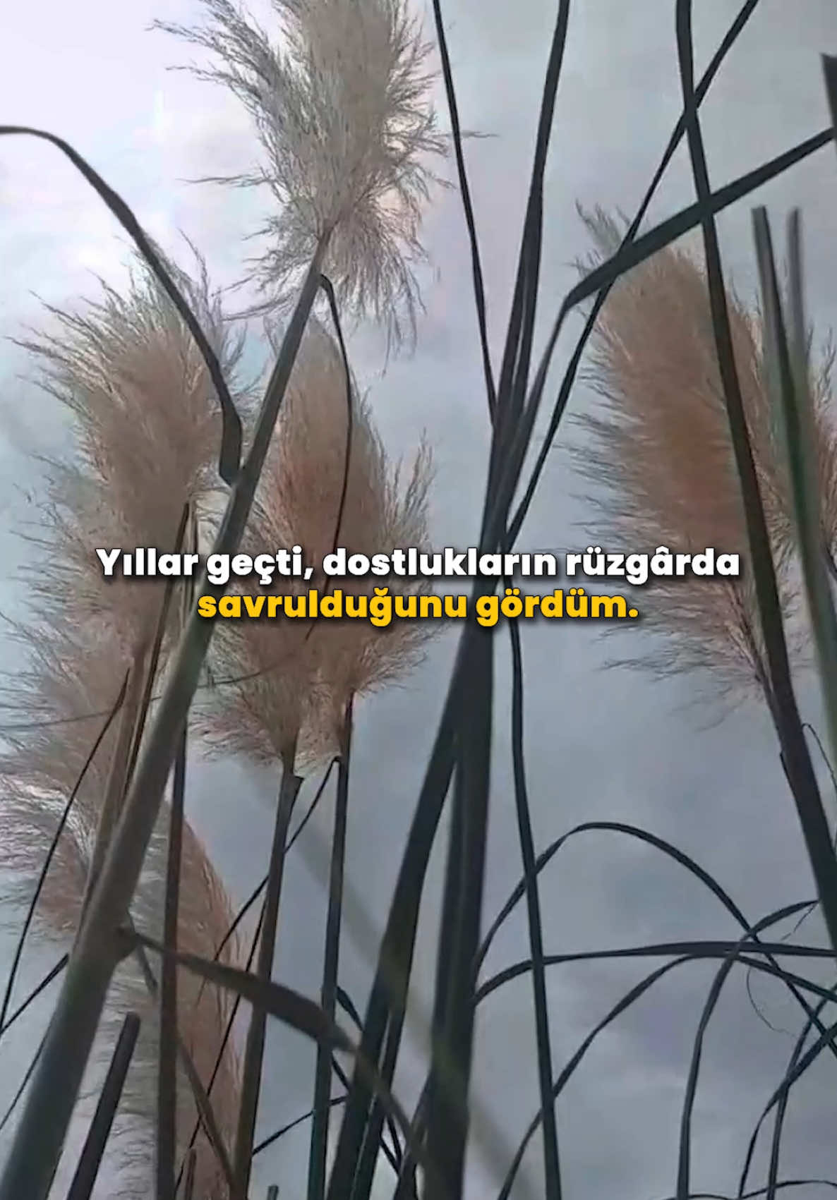 Seslendirme ve sözler bana aittir. #asaferenturkoglu #kendikalemimden #kendisesimden #dostluk  Çok insan eledim. Güya dost dediğim insanlar, bir sınavda yüzlerini gösterdiler. Çoğu, hayal kırıklığından başka bir şey bırakmadı ardında. En zoru da, bir zamanlar sevdiğin insanları kalbinden silmek oldu. Ama bir noktadan sonra anlıyorsun; herkesin seninle yürümeye gücü yetmiyor.