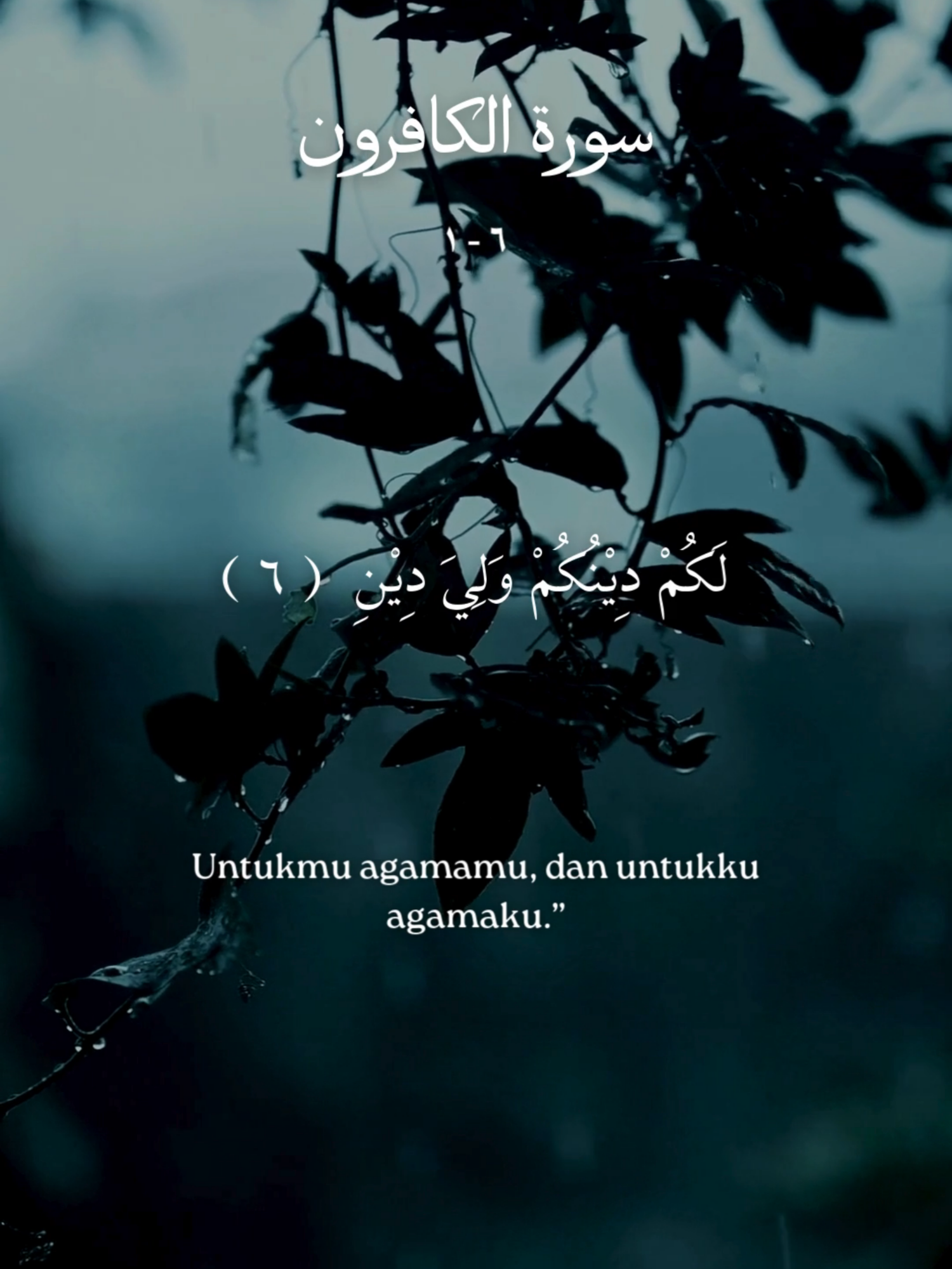 Untukmu Agamamu Dan Untukku Agamaku QS. 109 Al Kafirun - Syeikh Mishary Rasyid Alafasy #quran #alkafirun