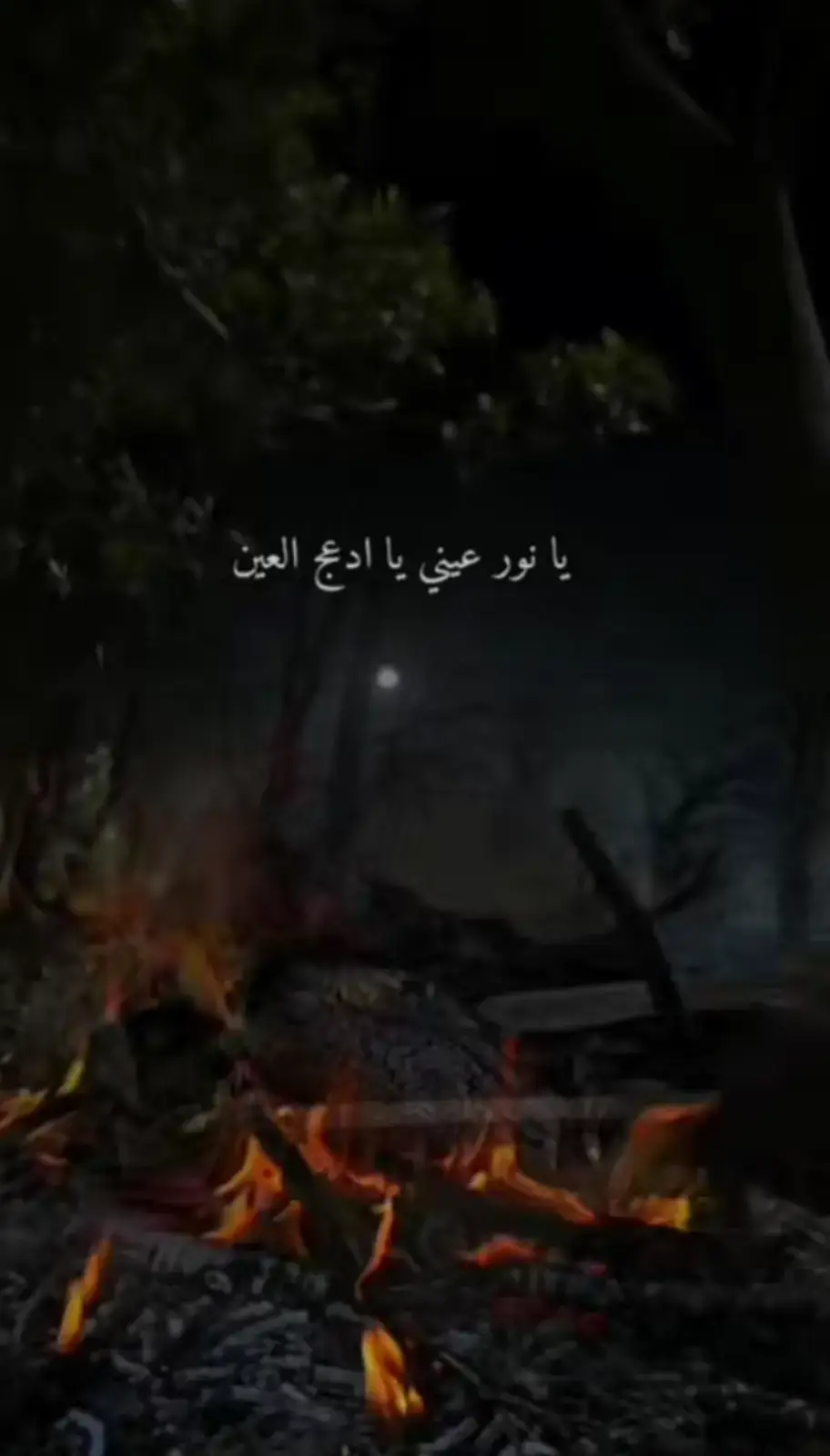 #يانور_عيني_يا_ادعج_العين 💔🥺 #💔💔💔💔💔 #اغنيه_حزينه #اكسبلور 