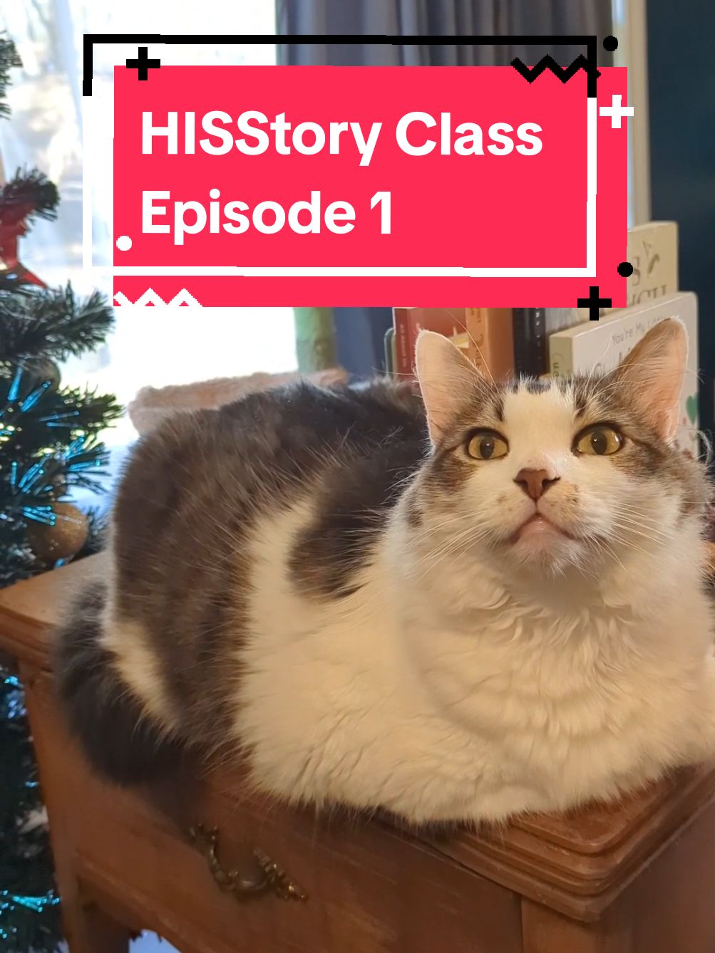 historical cats ft the first ever (recorded) named cat from ancient Egypt please forgive my pronunciation hieroglyphs don't have vowels and I'm not an ancient Egyptian despite my 23&me trace ancestry results #cats #cattok #history #cathistory 