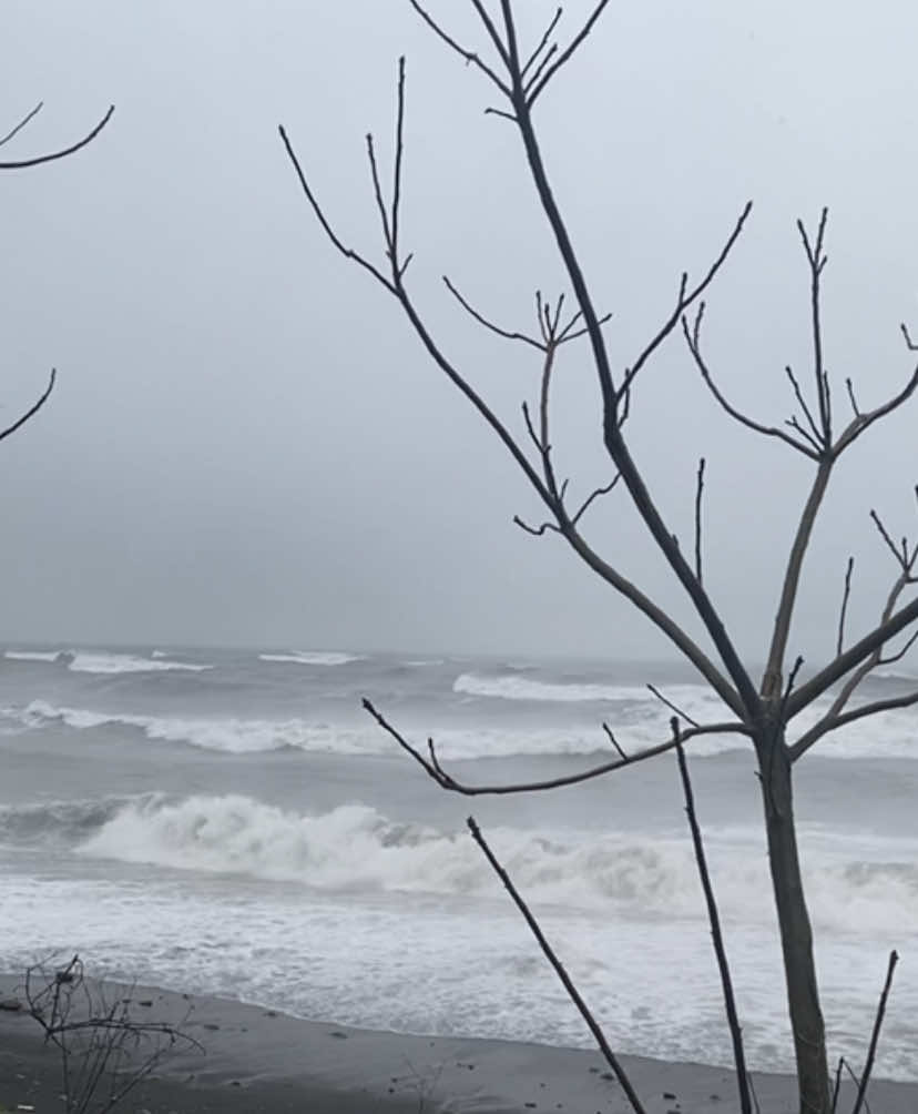 #real #europe #rawblackmetal #dungeonsynth #fyp #darkfantasy #nature #sea #winter #рекомендации #зима #море #based 