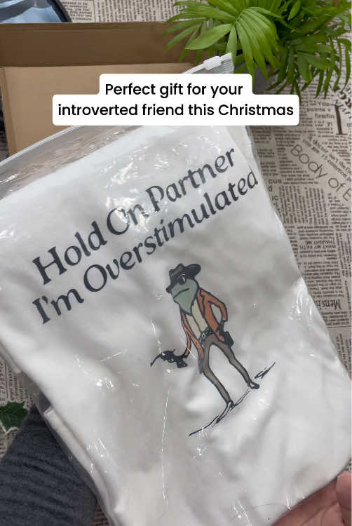 I need a chill gift. This shirt - Hold on partner, I’m overstimulated! #funnyshirt #frog #overstimulated #unboxing #unbox #viralvideo #gift #christmas 