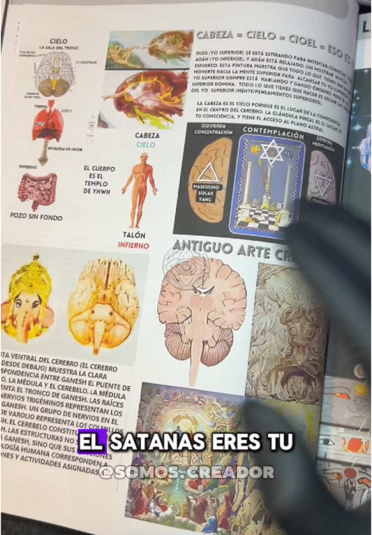 📌 ¿Sabías que Satanás es una metáfora de tu mente inferior? 🌑 No es un ser externo; es ese lado tuyo que busca el materialismo, la lujuria y el poder. Mientras tanto, Dios es tu parte superior: amor, sabiduría y conocimiento. 💡 La clave está dentro de ti. Transforma tu mente y toma control de tu vida. 💫 Todo comienza contigo.  simbología de Satanás, mente inferior significado, el diablo como metáfora, Dios y sabiduría, manifestación de pensamientos negativos, poder creativo interior, religión y mente, reflexiones espirituales, tentaciones mentales, conexión interna espiritual. #sabiduria #sabiduriatiktok #sabiduriaancestral #despertarespiritual #despertardelaconciencia #despertardeconciencia #despertardeconsciencia #consciencia #conciencia #espiritualidad #espiritual #espiritu #alma #awakening #spritual #spritualawakening #conspiracy #conspiracytiktok #conspiracytherory #conspiracion #tiktok #tiktokviral #viral #viralvideo #tiktokviralvideo #fyy #fyp #parati 