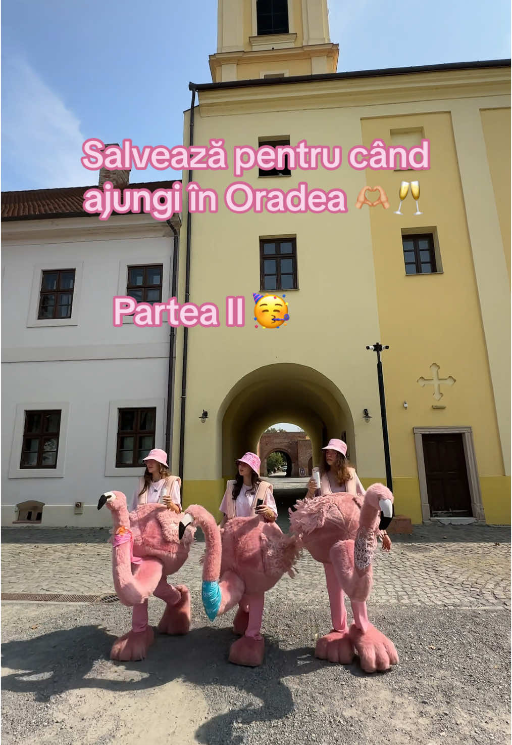 Mai stai o zi în Oradea? Uite ce să faci (psst, dacă ți-e sete, Rosé Verité te așteaptă pe raft 🦩🥂) #365deziledevara #LaVidaEnRose #flamingointurulromaniei #funny #romania #oradea #idei #flamingo 