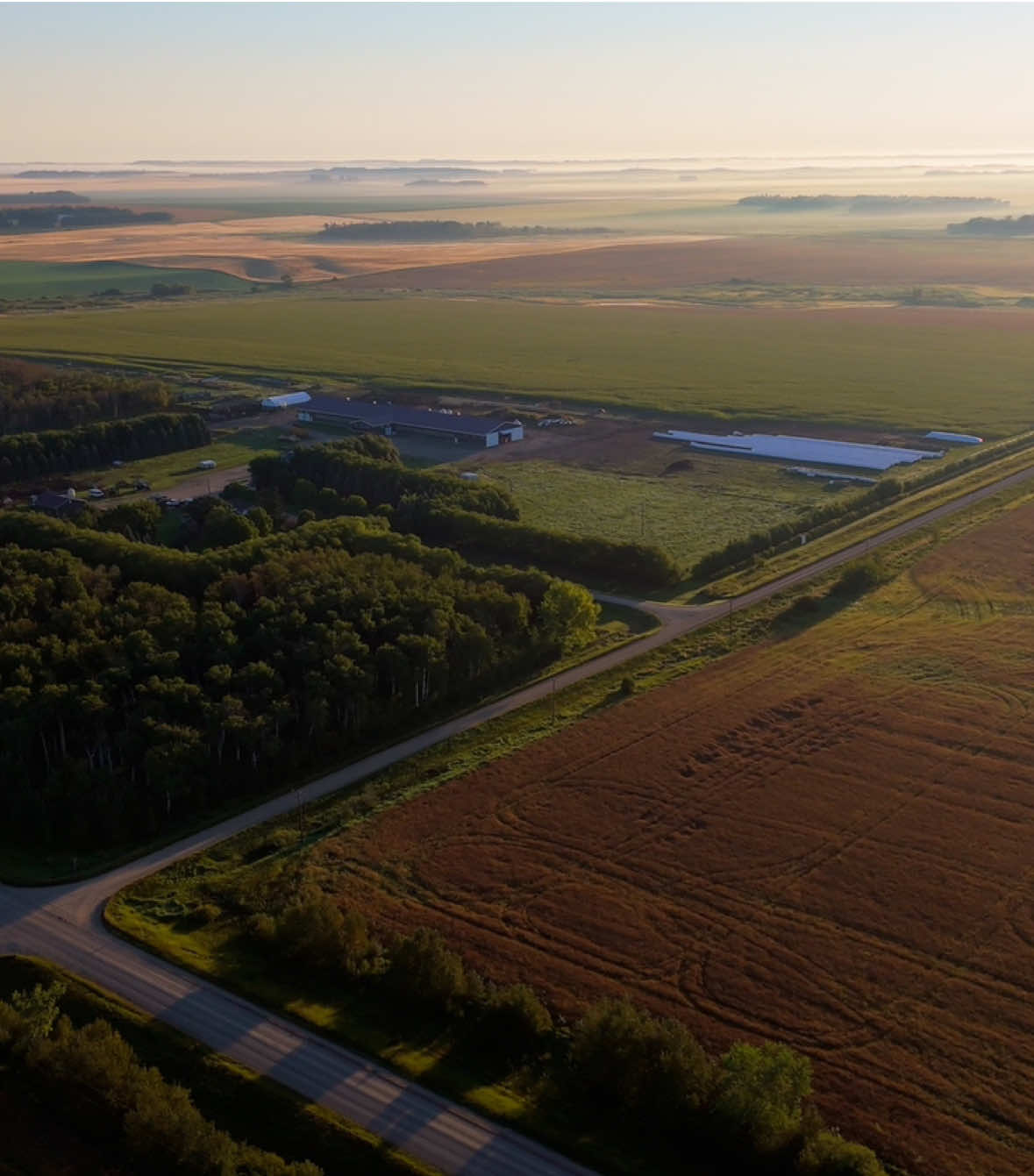 “If we want to produce quality food for future generations, we need to take care of our land. Livestock plays such a critical role in the regenerative process.” 🌱🐓 Regenerative agriculture is a commitment to healthier soil, healthier animals, and a healthier planet. Watch to see how we’re putting this philosophy into action with the ROVA|BARN.💚 Watch full video here : https://www.youtube.com/watch?v=g6NTAhOuCcc&t=2s #homesteading #regenerativeagriculture #PastureRaised #regenerativeagriculture #FarmingLife #farmingfamily #sustainablefarming #regenerativefarming #chickencoop #canadianfarmer #supportlocalfarmers #farmingforthefuture 