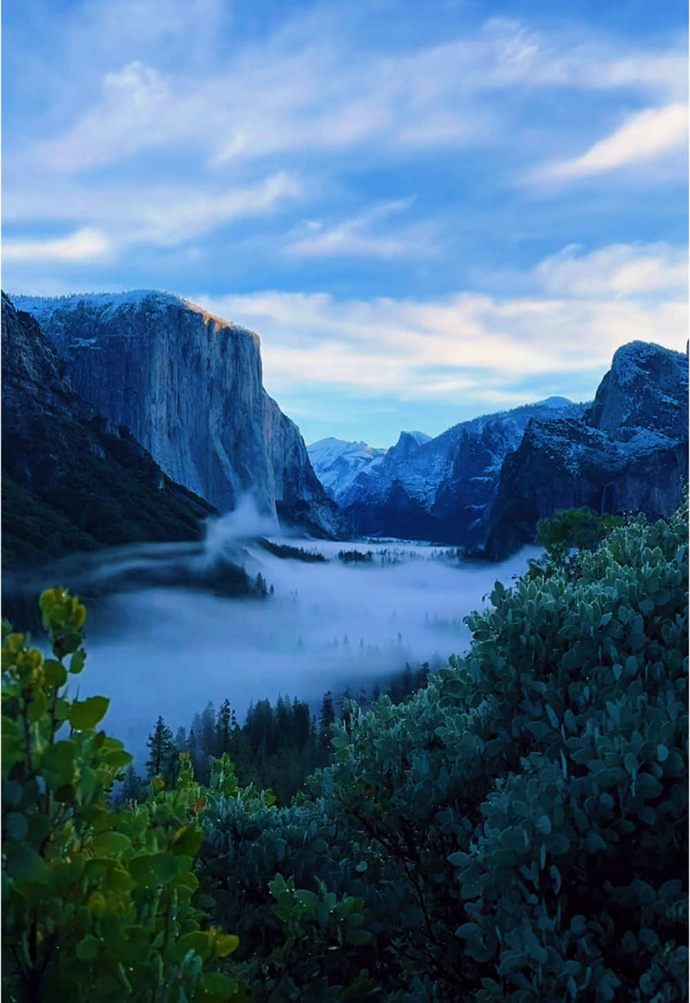 “12 months of visiting Yosemite.” #yosemitenationalpark #fyp 