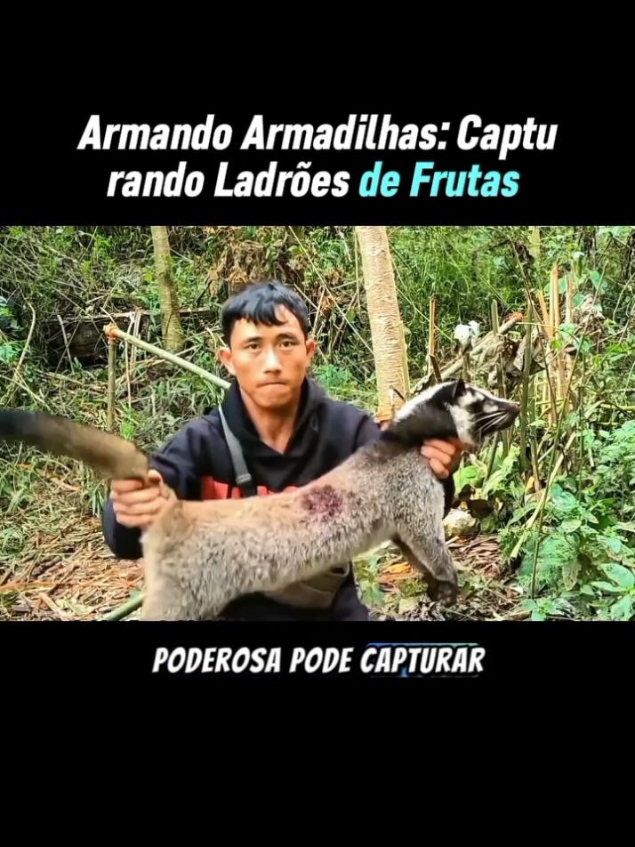 ladrão de frutas ? 