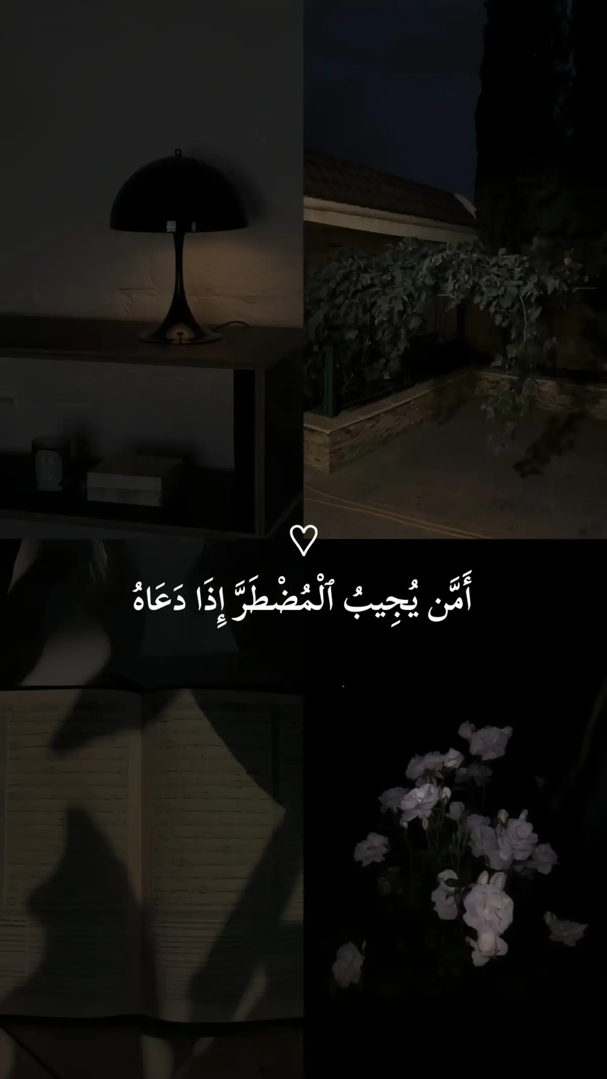 تلاوة خاشعة للقارئ احمد النفيس 🖤 سورة: النمل 🖤 #قران #سورة_النمل #قران_كريم #احمد_النفيس #quran