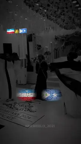 Madaxdii wadanka 🇱🇺🫶💚🤍💙#mareexanpowers🇱🇺💪 #habargidirnimo🤍💚💙 #qabiil #fyp #somalitiktok #galmudugnimo💙🤍💚 