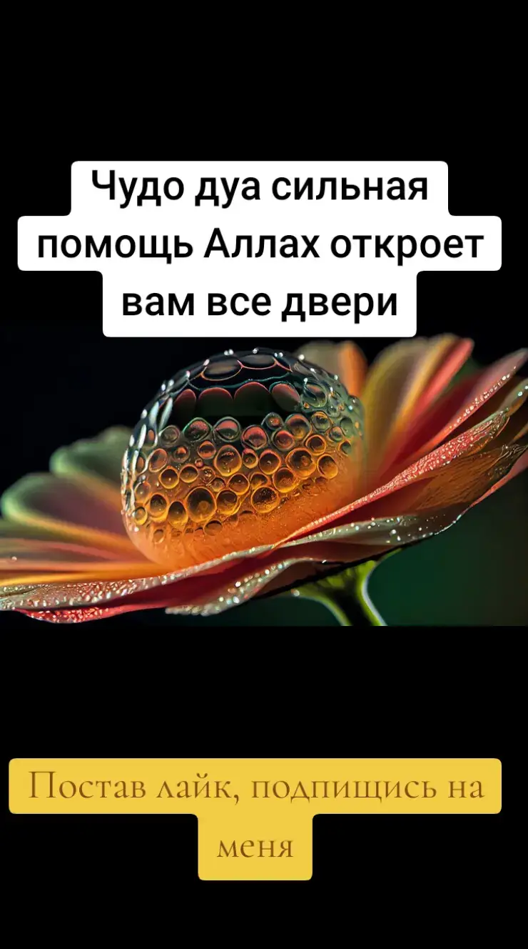 Суда дуа: әумин🤲🤲🤲