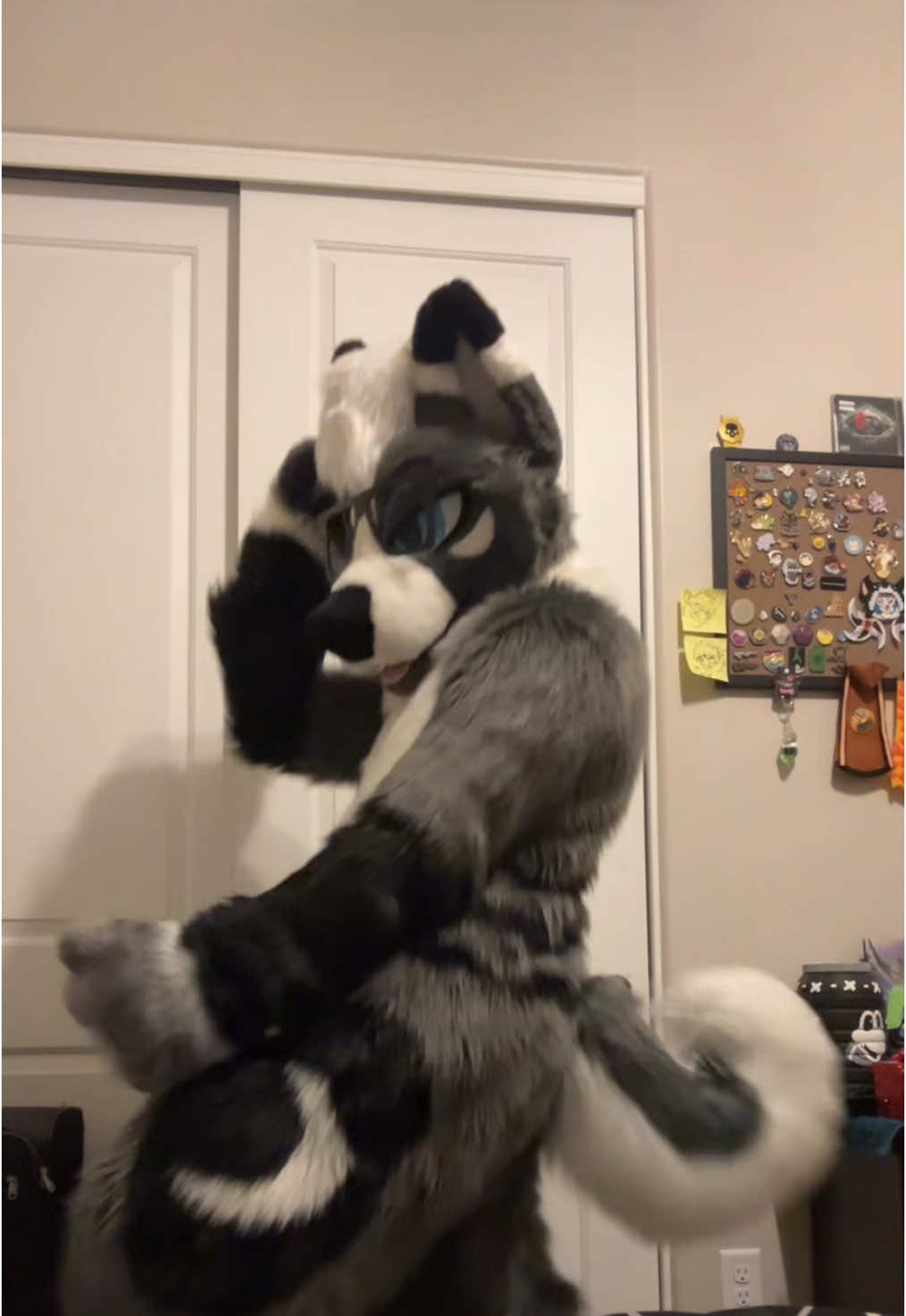 Its the dance, the one i saw Rambley Raccoon do :) #aronadance #furry #fursuit #furrytiktok #furryfandom #furryfyp #husky #kazehusky