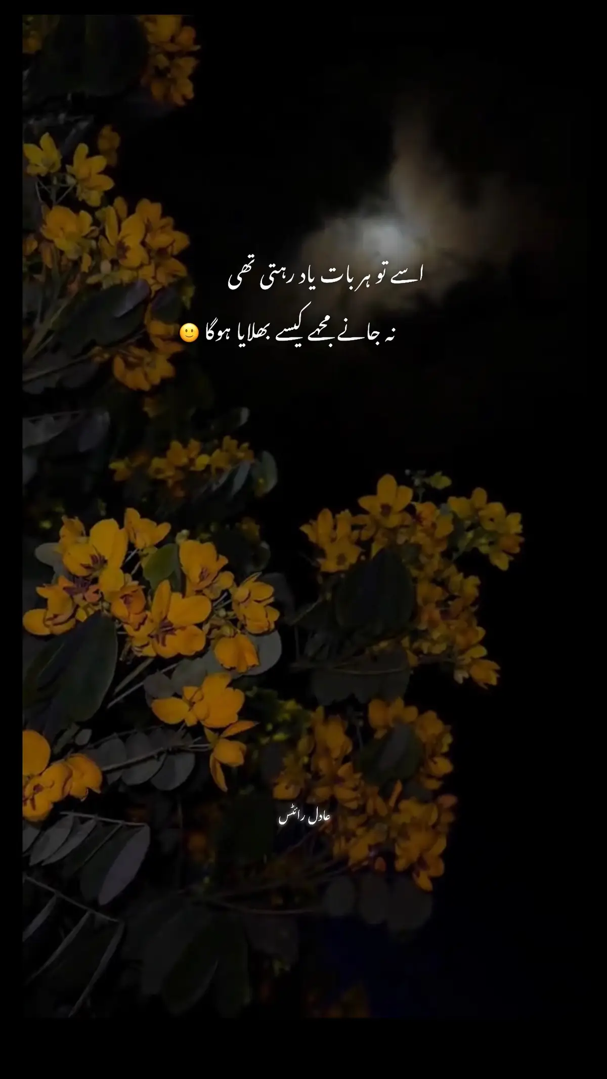 #unfrezzmyaccount #adilwrites #tiktok #team #unfrezzmyaccount #foryoupage