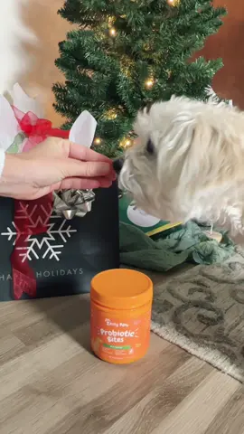 Yes, my son has a job. He’s proud of his work for @Chewy and thinks these are a fun treat. Side note for chicken owners, i give these to my girl with chronic crop issues when her’s slows down during a molt. They seem to help increase the good flora in her crop 🐔✨ #dogs #seniordogs #mustlovedogs 