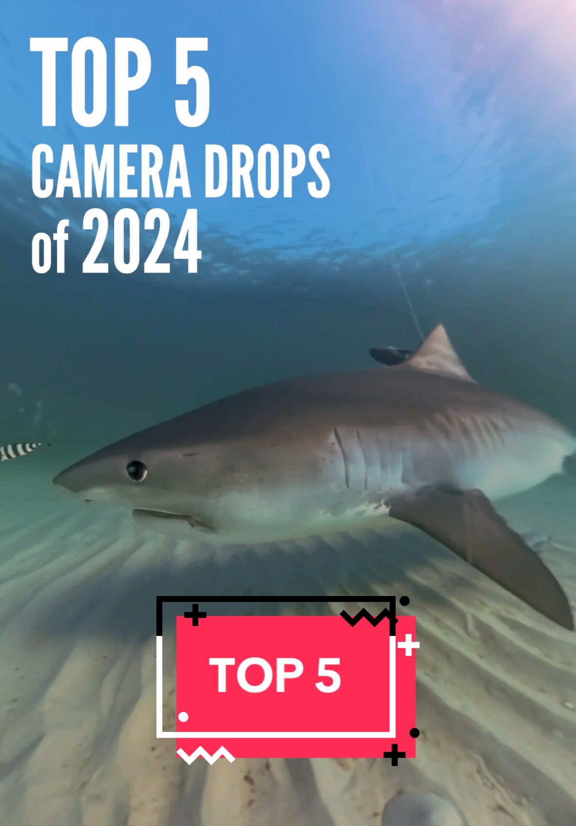 I became a bit obsessed with the camera drops this year.  Whether I’m spot casting or blind, it’s always fun to load the footage and see what happened.  More coming in 2025!  #cameradrop #tigershark #cownoserays #pelicans #kempsridley #marinelife #insta360 @insta360_official #redfish #destinbridge #colorearth