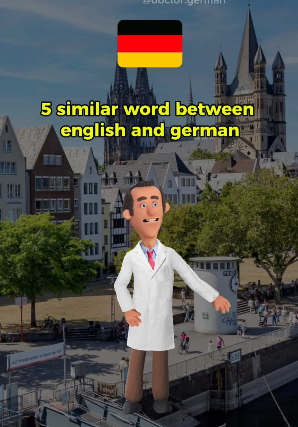 Similar words!! #german #learngerman #germanlanguage #fyp #deutsch 