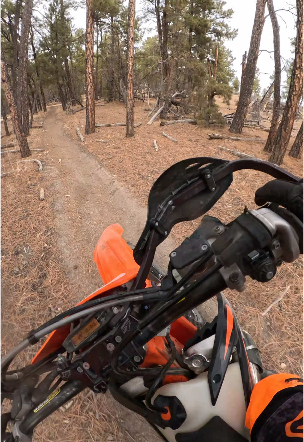 Knicked A Tree @ The End Bike - @ktm_official 2019 KTM 300 XC-W TPI #enduro #singletrack #ktm #gopro #offroading #endurolife #hardenduro