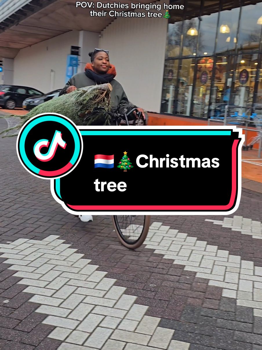 everything is possible with a bicycle 😄✨️✨️ #livinginthenetherlands #Christmasinthenetherlands #christmastreeonabicycle #netherlands #dutchiesbelike 