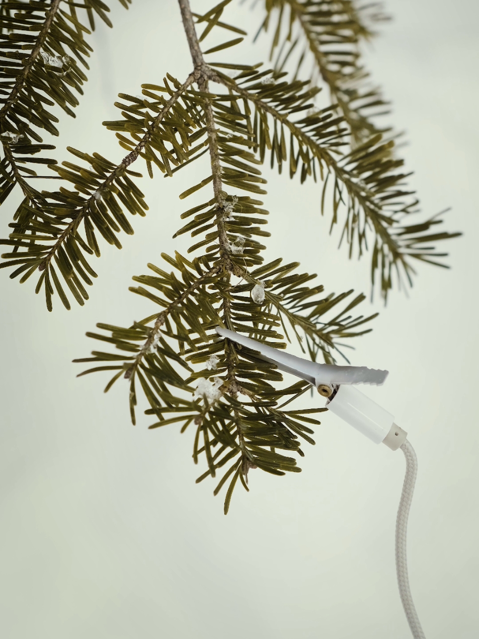 Music of the fir tree 🌲 The Music of the Plants device works by converting plants' electrical signals into music. It uses two probes to connect to a plant. One probe is attached to a leaf, while the other is inserted into the soil near the roots. These probes detect the electrical signals produced by the plant. The device converts these resistance variations into musical sounds.  ⚠️ The sounds produced by the device do not represent the actual sounds of plants. This device uses electrical signals to generate music, but it does not mean that plants themselves make these sounds. Instead, it's a musical interpretation of the electrical variations measured in plants. In fact, studies like the one from Tel Aviv University have shown that plants can emit sounds, but these are ultrasonic, beyond human hearing. These ultrasonic sounds can occur when plants are stressed, such as due to a lack of water or physical damage. #science #plants #scienceexperiments #pourtoi #fyp 