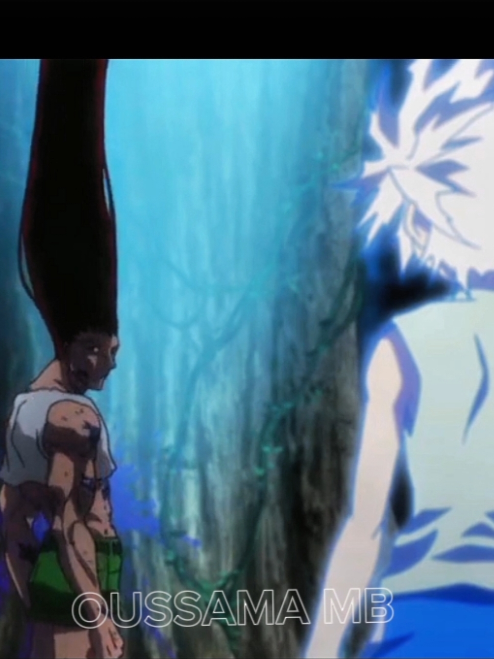 #hunterxhunter #hunter #killua #gon #zoldyck #neferpitou #هنتر_اكس_هنتر_مدبلج_بل_عربي 