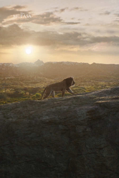 We’re heading back to the Pride Lands 🦁 Join National Geographic Explorer @Bertie Gregory in conversation with Barry Jenkins, director of Mufasa: The Lion King, about bringing lions to life in the film and the efforts to protect them in the wild. #Mufasa: The Lion King, only in theaters Friday. Get your tickets now.