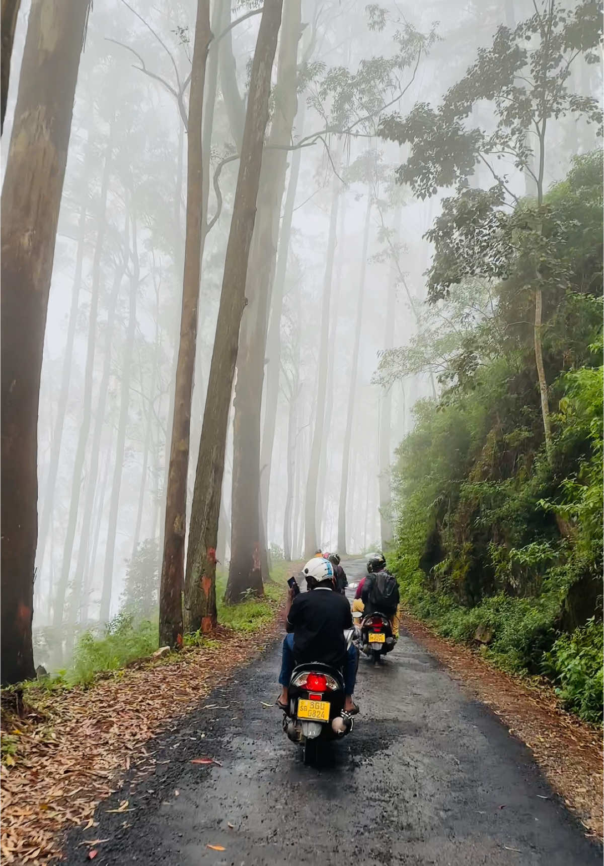 හරිත කන්ද බලා මීදුම මැදින් අපි 🛵🍃🍂💨🌬️🌧️☔️ #hatithakanda #hatton #travel  #srilankan_tik_tok🇱🇰  #srilanka #tourismsrilanka  #srilanka #fypシ #fy #viral #viralvideo #tiktok #naturevibes #tourism #nature #traveltiktok 