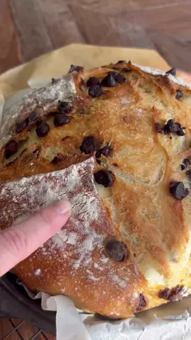 ✨ THE 12 DAYS OF BREADMAS ✨Day 7: Chocolate Chip Bread  390ml warm water (approx 14oz) 1 teaspoon (5g) honey, sugar or agave 1 Tablespoon (15ml) extra virgin olive oil 1.5 teaspoons (6g) instant yeast 500g white bread flour (approx 4 cups) 2 teaspoons (10g) fine sea salt  1 cup (170g) chocolate chips  Mix dough. Wait 15 mins. Stretch + fold (add half the chocolate chips). Stretch + fold (add second half of chocolate chips). Cover and proof at room temperature for 1.5 hours.  Preheat oven with cast iron pot inside - 250C/480F. Shape dough and then rest (covered with bowl) for 30 mins while the pot preheats. Score, bake with lid on for 40-45 mins. Cast iron pot or Dutch Oven** should be at least 4.7 litres/ 5 quarts. Bigger than this is great too… Cool completely before cutting in, enjoy toasted with salted butter or use it for French Toast. Tune in tomorrow for another delicious recipe to use it in!  **If you don’t have a cast iron pot, you can bake this bread on a baking tray. Just be sure to put a baking dish with hot water in the bottom of the oven as it preheats. Additionally, you can get a spray bottle and spray a few good pumps of water into the oven before closing the door for the bread to bake. The steam helps the bread to rise to its full potential before the crust forms. Bake the bread at 220C/430F for 30 minutes and then turn the temperature down to 210C/410F and carefully remove the hot water/steam source from the oven. Continue baking for another 10-15 minutes or until the bread is golden brown and sounds hollow when you tap the bottom of it. #chocolatechipbread #breadtok #chocolatebread #breadrecipes 