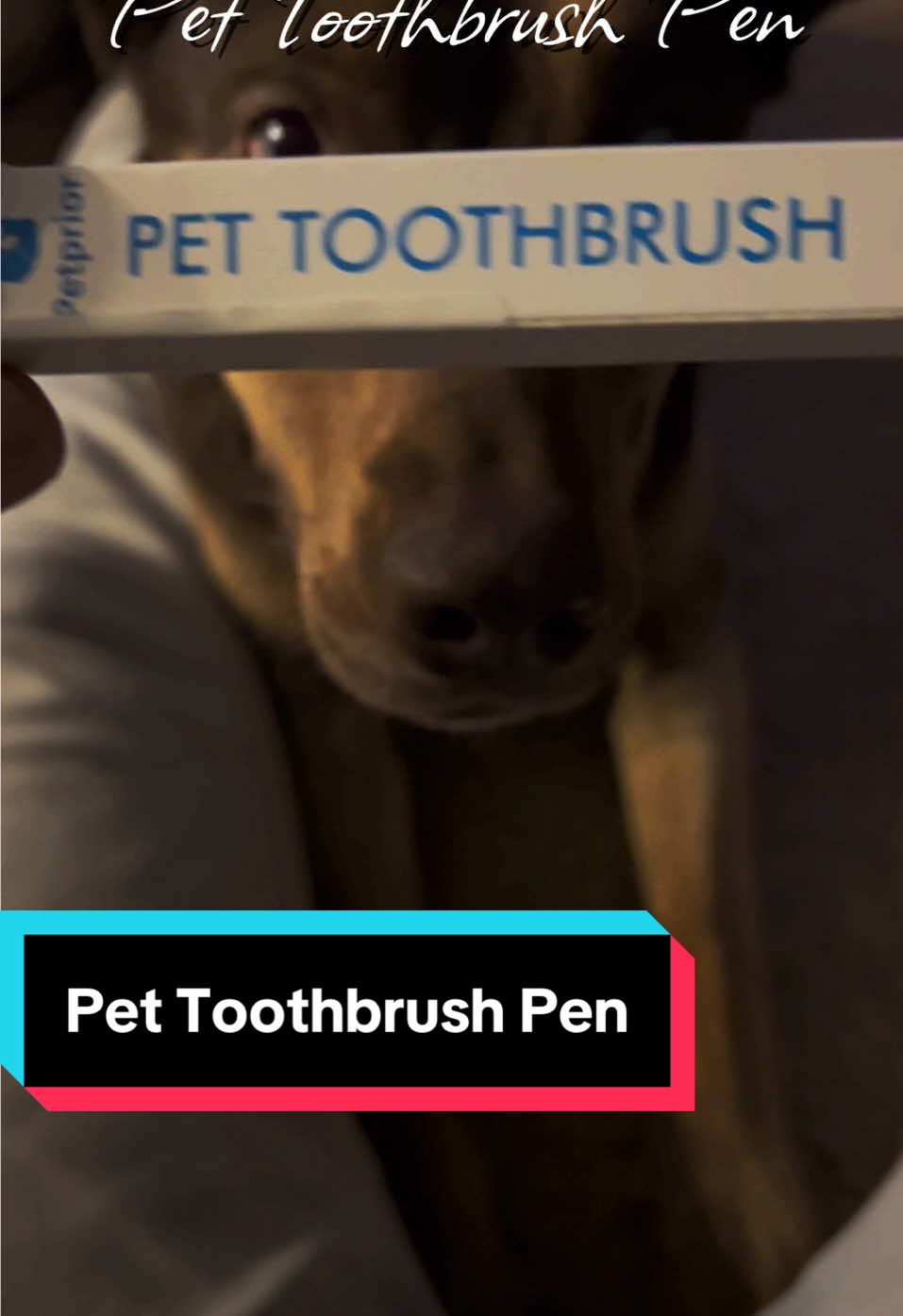 Effortlessly clean, whiten, and repair your pet’s teeth with the natural Toothbrush Pen! Fresh breath, happy smiles! 🐾 #PetCare #DogTeethCleaning #CatDentalCare #TartarRemover #HealthyPets