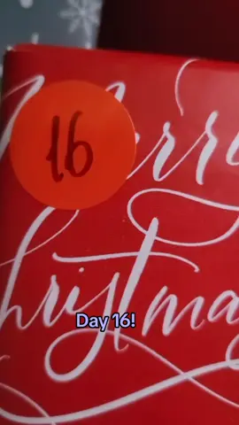Day 16 of @Love, Dreams & Bookish Things bookish advent calendar! 📅  #BookTok #newbook #christmasbook #holidaycountdown #adventcalendar 