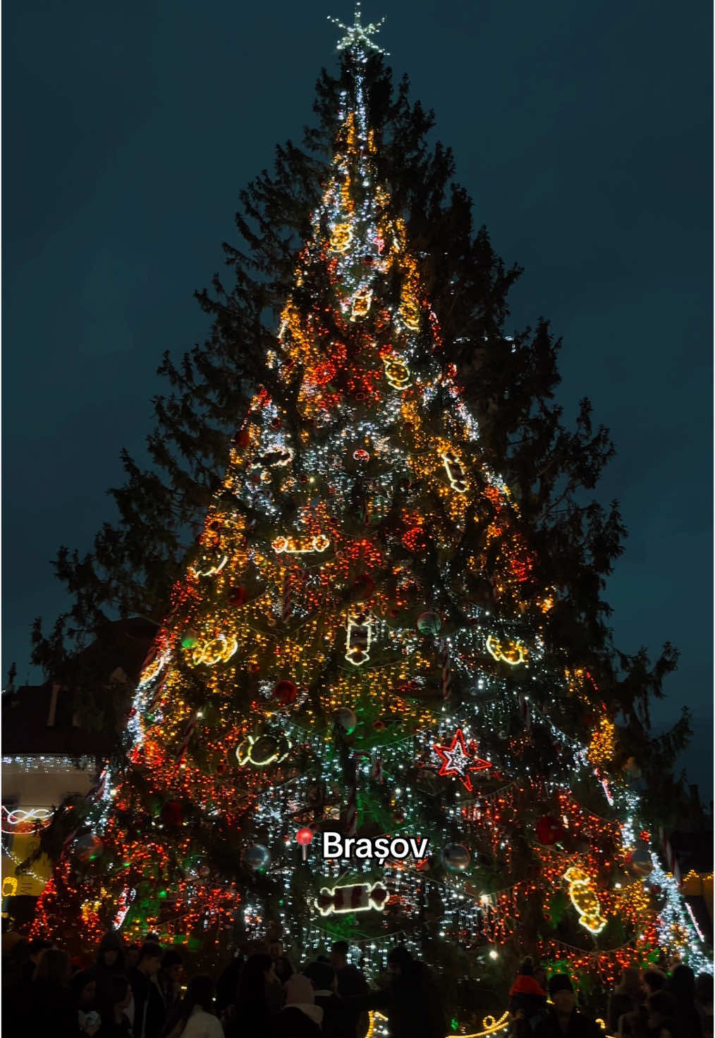 🎄✨ #christmastree #brasov #brasovromania 