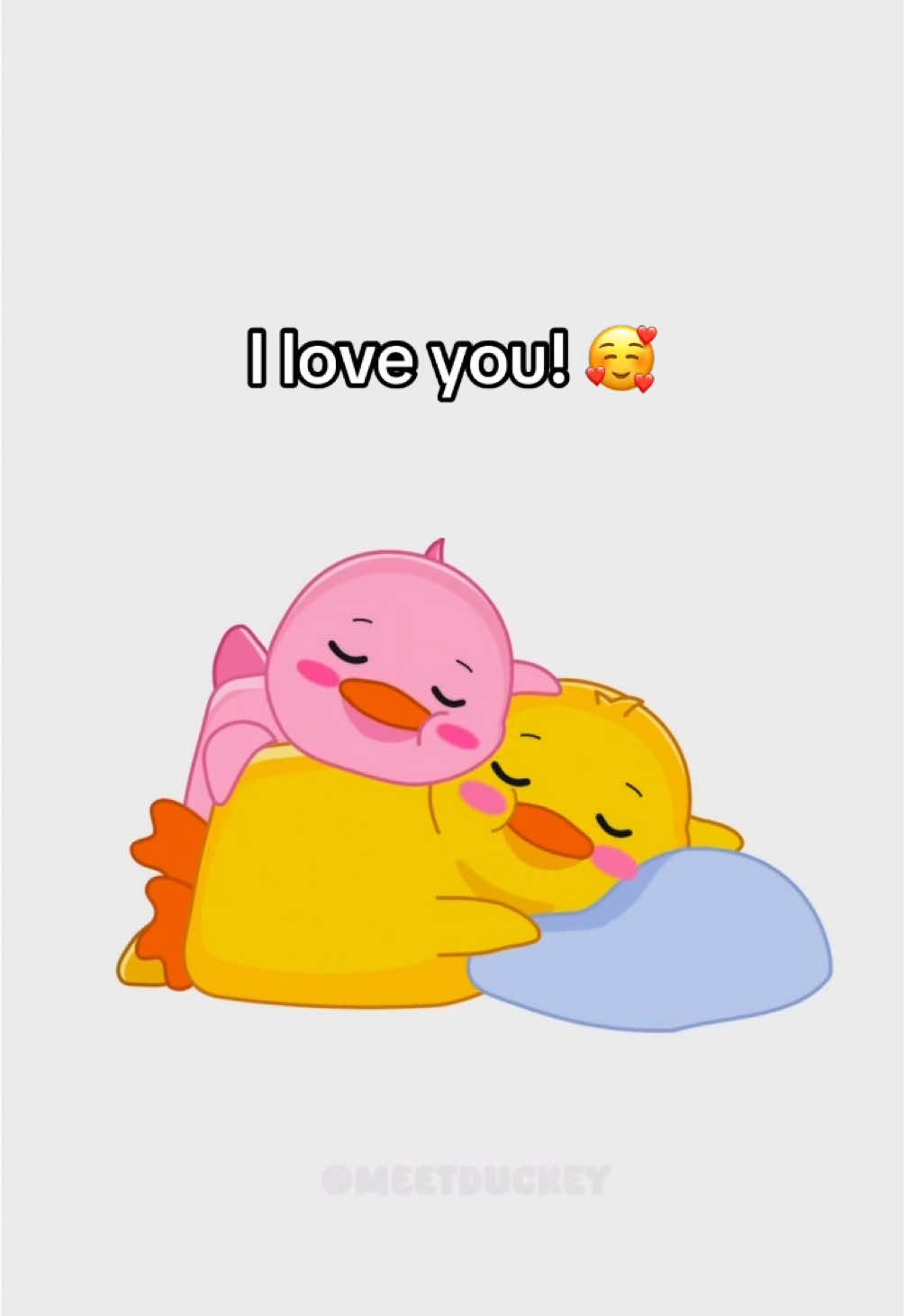 I simply love you 🥰 #animation #Love #cute #duck 