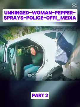 Part 3 #cops #copsoftiktok #police #policeoftiktok #foryour#fyp