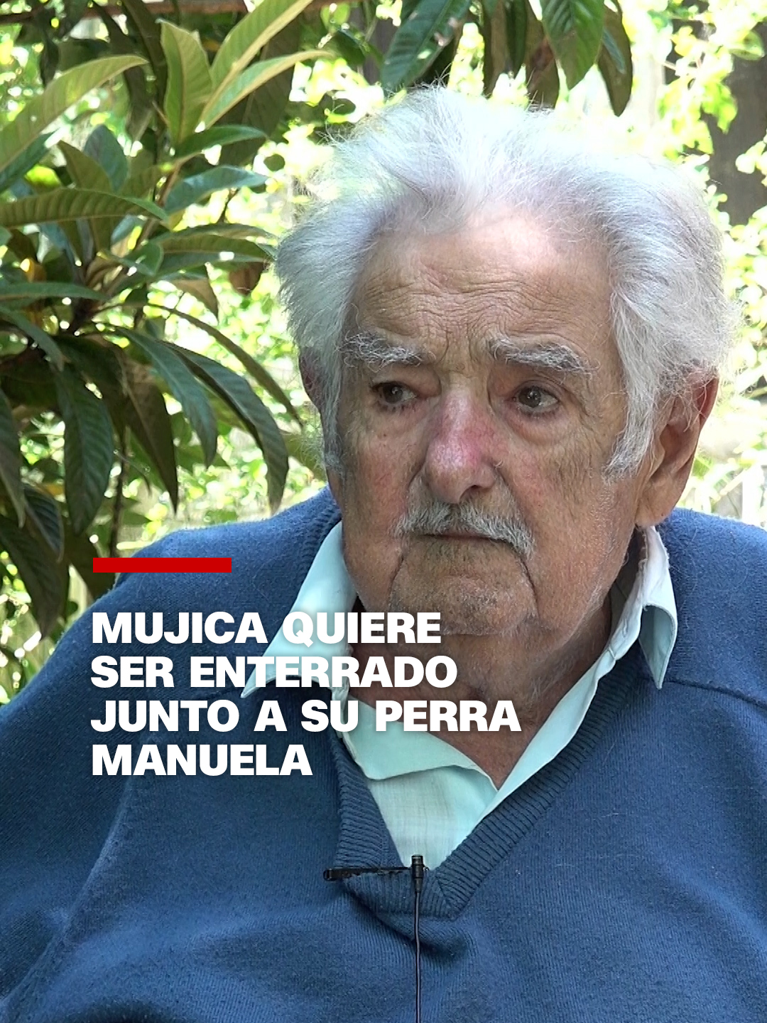 José “Pepe” #Mujica, expresidente de #Uruguay, concedió una larga entrevista a #CNN, en la chacra en la que vive, donde habló de su salud, sobre la existencia de Dios, de la muerte que –dice– se le avecina, del amor, del Gobierno electo de Uruguay que él apoya y de temas internacionales como los populismos emergentes, la guerra de #Siria y el liberalismo.  #cnnenespañol