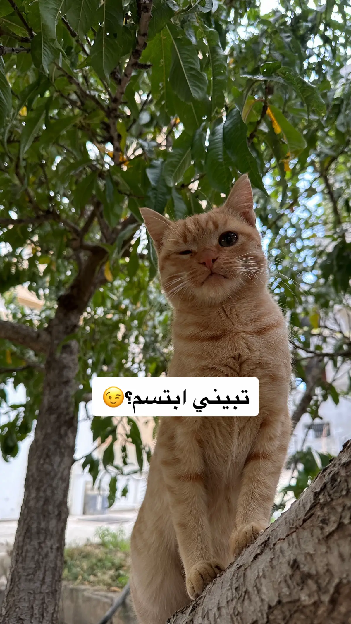 الابتسامة اللي الله لا يحرمني منها😋😂😂❤️