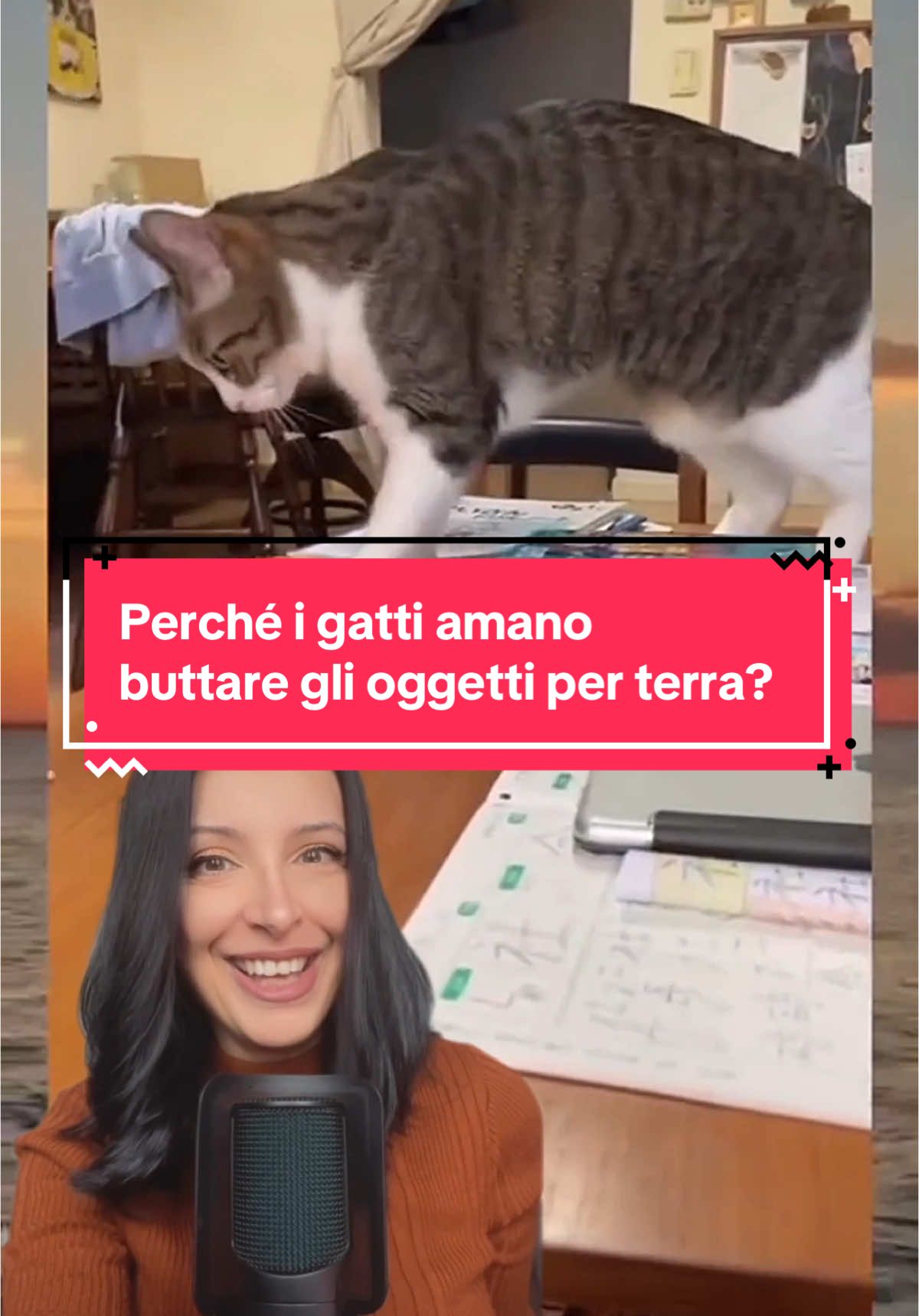 Perché i gatti amano buttare le cose per terra?  #gatto #gatti #gattidicasa #gattiitaliani #etologiafelina #comportamentofelino #amoigatti #catloversclub #catlove #gattara #cat #gattari #catsoftiktok 