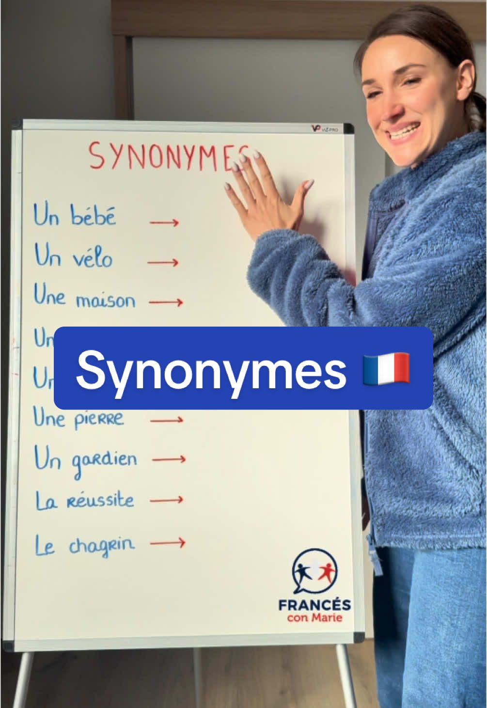 Synonymes en français 🇫🇷 #CapCut #hablarfrances #frenchlanguage #frenchclass #frances #language #Francés #clasesdefrances🇫🇷 #francia #france #aprenderfrances #idiomas 