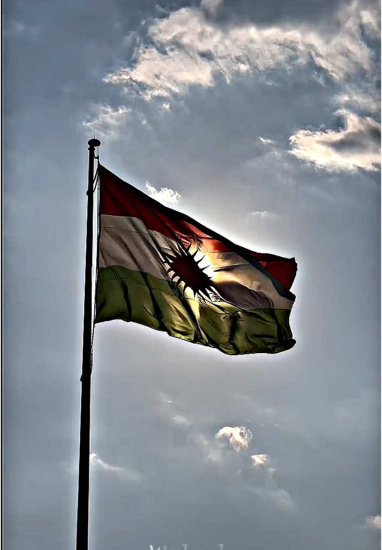 Kurdistan Flag Day: A Symbol of Pride and Unity ❤️☀️💚                                                        #kurdistan #kurdistanflag #kurdistan-flag-day #zaxo_duhok_hewler_slemani_hawler #zaxokadelal #slemani #hawler #كوردستان 