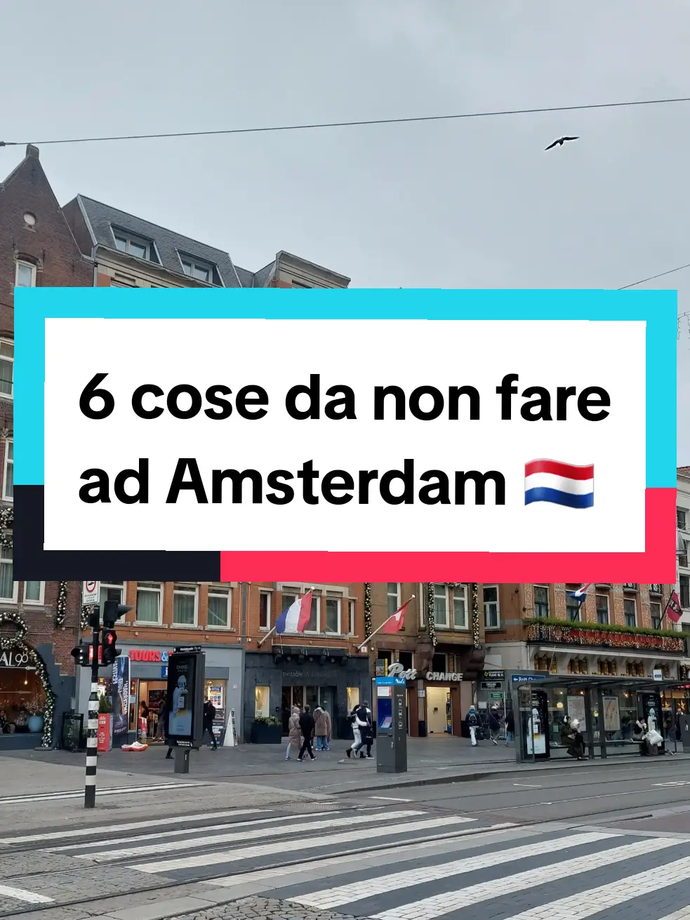 Ecco 6 piccoli consigli per vivere al meglio (e senza intoppi) il tuo viaggio ad Amsterdam 😱🫶🏻 #viaggio #travel #amsterdam #amsterdamcity #consiglidiviaggio #igiramondo #fyp #neiperte #amsterdamtiktok #amsterdamfood #redlightdisdrict #annafrank 