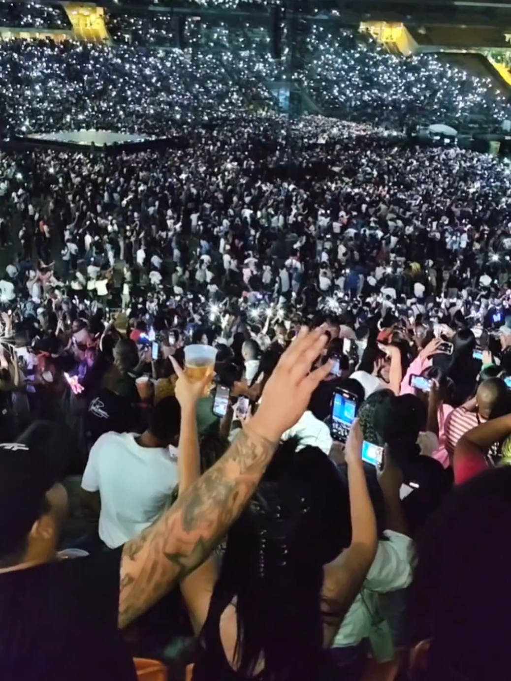 90,000 fans singing along with @chrisbrownofficial at the FNB Stadium in Johannesburg on day 2 after selling out day 1 with 95,000 attendees - A New African record for attendance - Sold out 2 days in a row #dalaucrew 