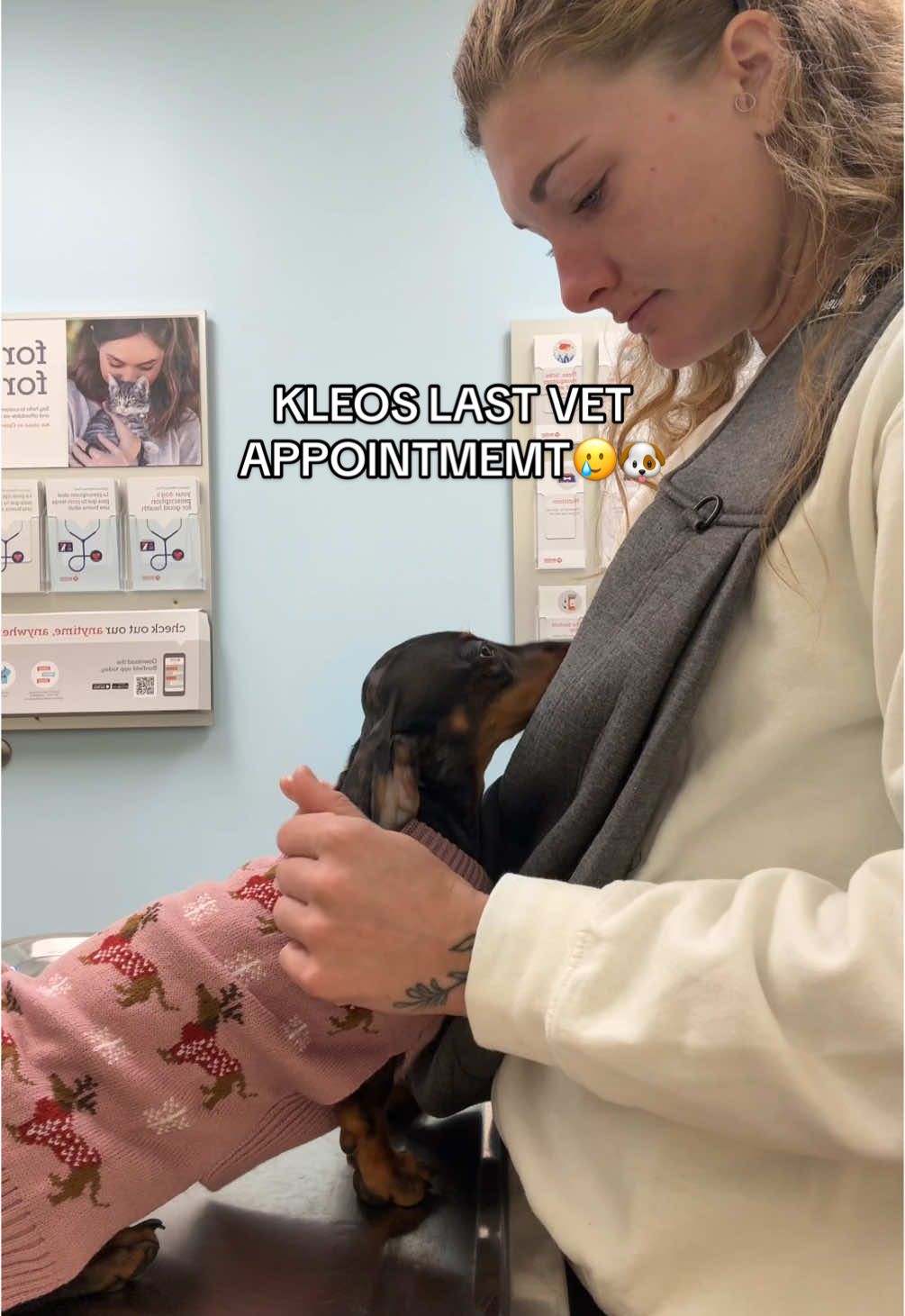 Kleos LAST puppy vet appointment🥹🐶 They grow up so fast🥲 #vet #dachshund #puppy #doxie #dachshundsoftiktok #foryoupage #dachshundpuppy 