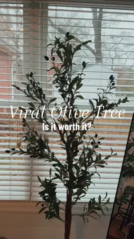 The results are in and this is a …… HECK YESSSS! Grab it with a coupon + free shipping in the orange cart below! 🌿 #olivetree #fauxtree #olivetreedecor #homedecor #tiktokshop 
