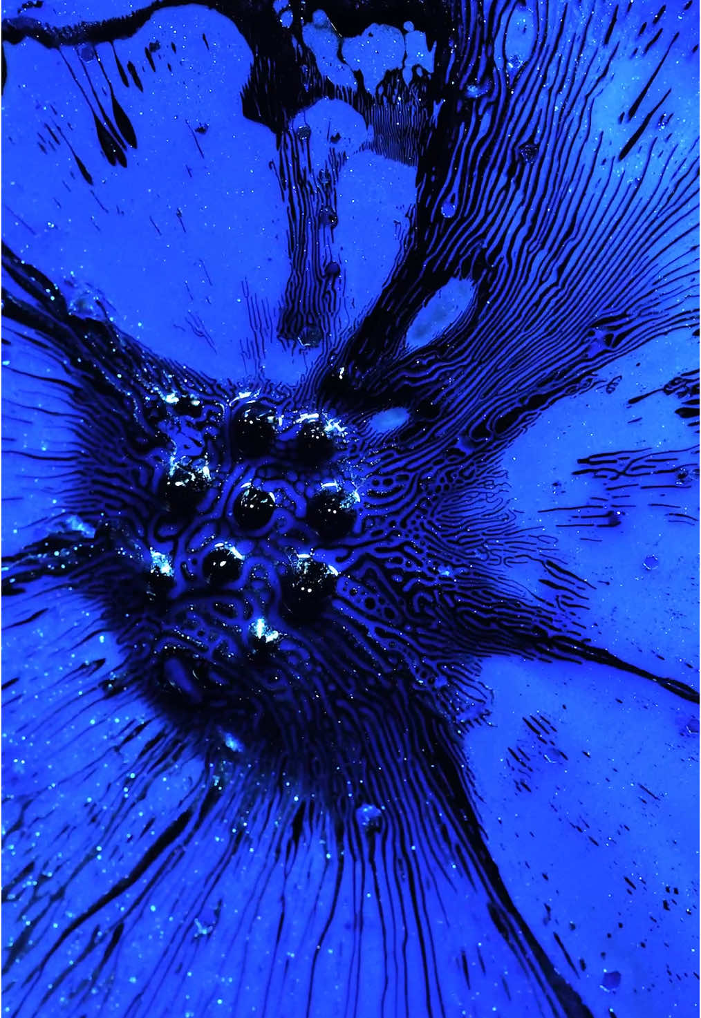 🎵 blůblů 🔵 no CGI, just ferrofluid and ink on a microscope slide 🛝 captured with a camera and macro lens • real size of the scene 7-10mm • Ferrofluid is a magnetic liquid that, when mixed with other substances, forms bizarre patterns known as Pattern Turing. In this video I mixed my standard mixture with mica powder, which gave the liquid a glittery appearance. The object was controlled by a magnet. I created the sound specifically for this short film using, among other things, my transposed voice 👄 Microloop_173 #videoart #scifiart #ferrofluid 