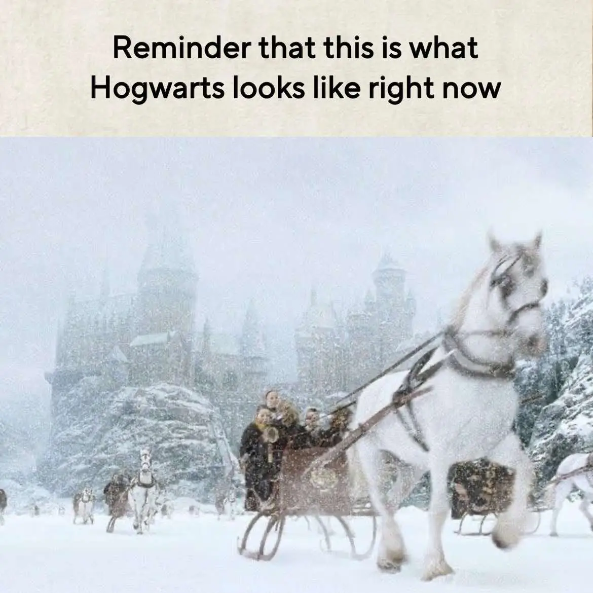 Wish i was there rn😔 #harrypotter #hp #dracotok #harrypottertiktok #desiredreality #shiftingrealities #hogwarts #winter #hptiktok #christmas #yuleball #winter 