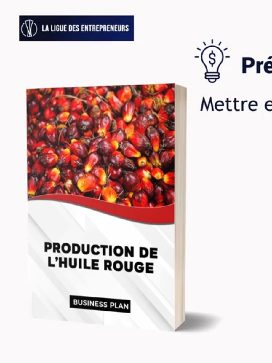 PROJET DE CRÉATION D'ENTREPRISE : La production de l'huile rouge. #businessrentable #ideedebusiness #planmarketing #businessplan #planfinancier 