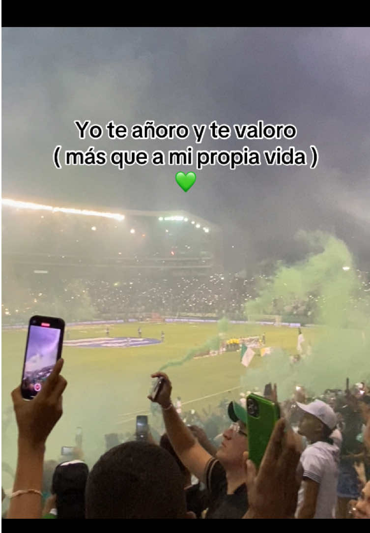 Mi verde yo te amo 💚🤍 #fyp #deportivocali #frenteradical 